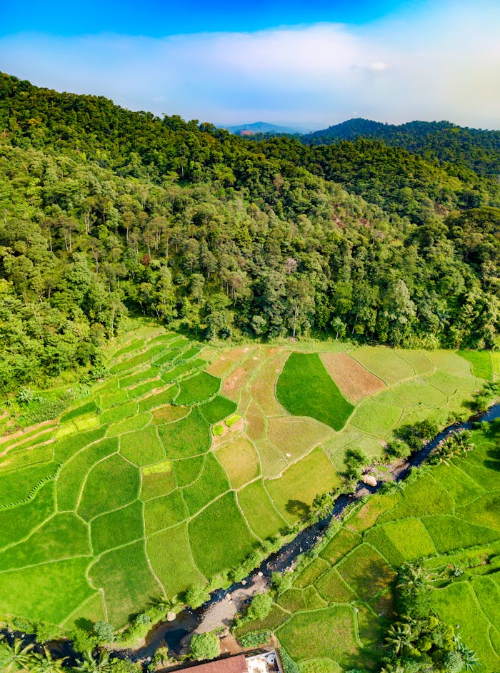 Stunning aerial view of lush rice terraces and forest in Rumpin, Indonesia.